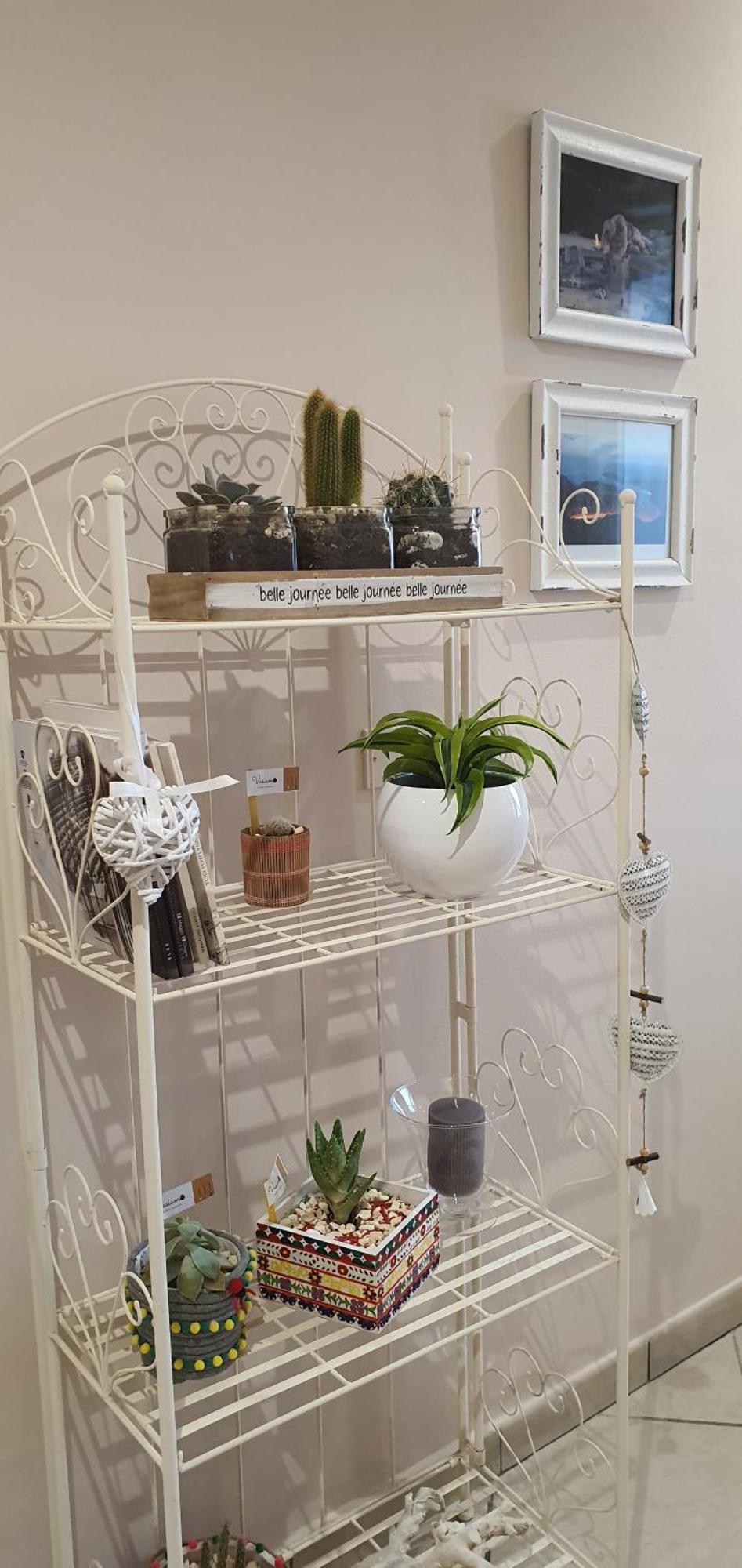 לינה וארוחת בוקר אבולה La Rosa Dei Venti מראה חיצוני תמונה